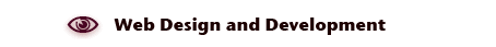 Web Design and Development